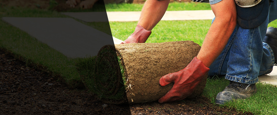 Valley Village Landscapers